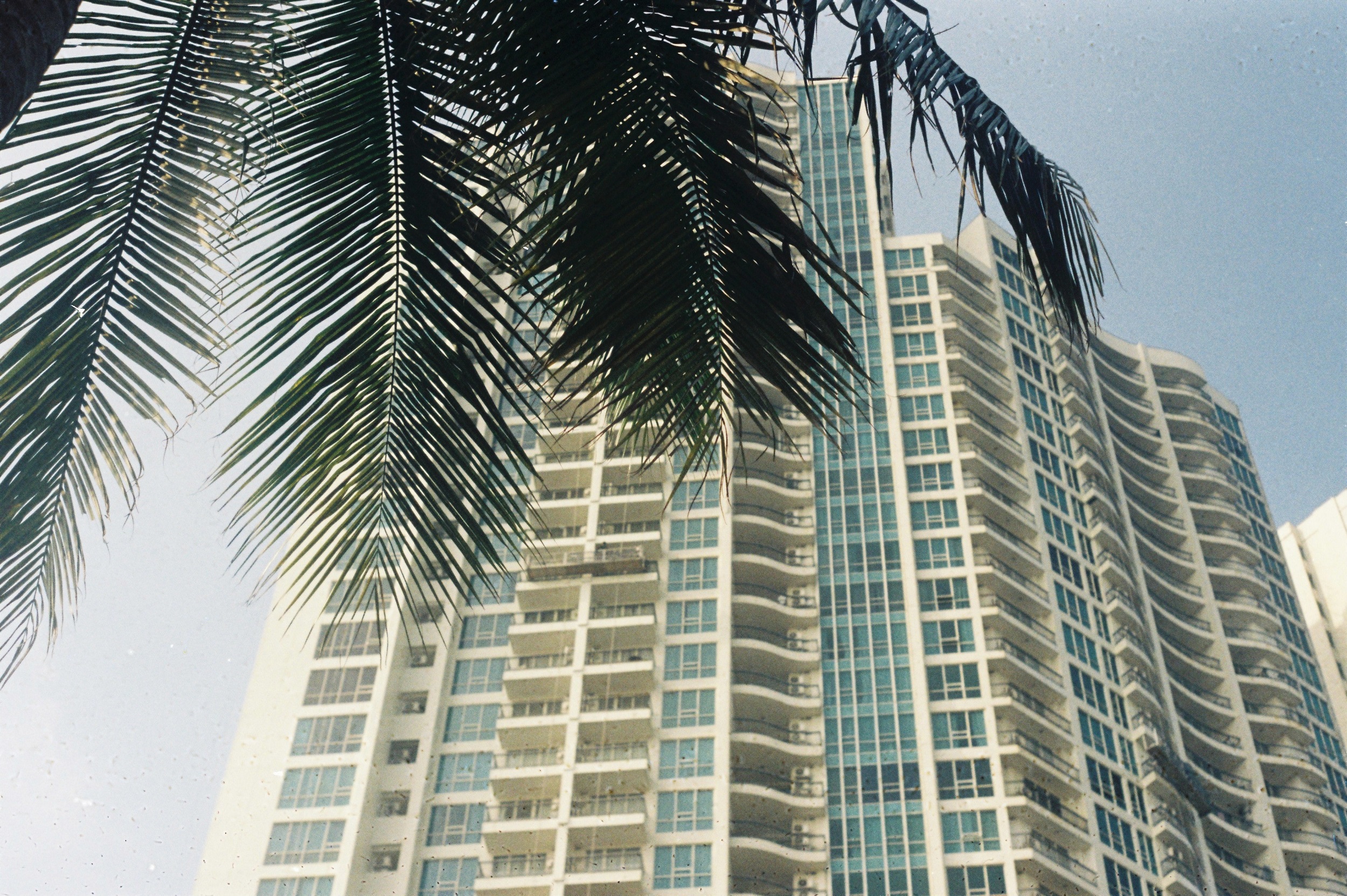 milzam-fadhlillah-5pNDvjqbNd8-unsplash
